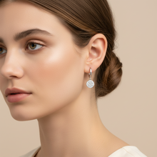 Load image into Gallery viewer, Sterling Silver Cz Pave Circle Huggie Earrings